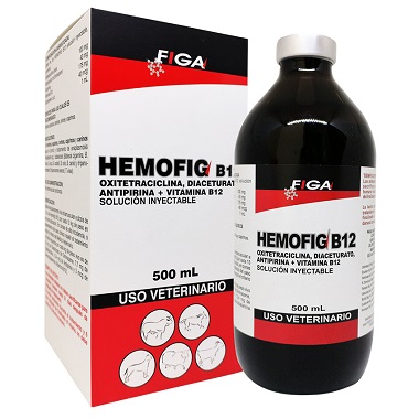 HEMOFIG B12