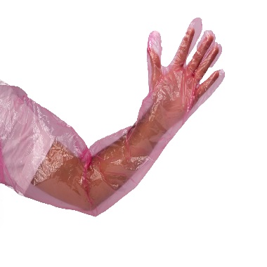 GUANTES DE INSEMINACIÓN