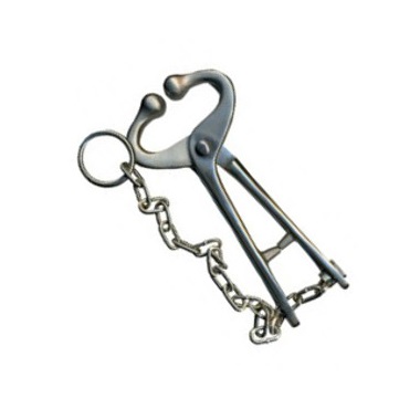 NARIGUERA CON CADENA